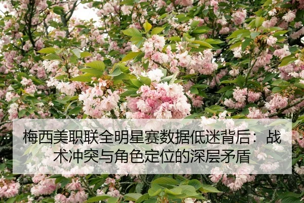 mei-xi-mei-zhi-lian-quan-ming-xing-sai-shu-ju-di-mi-bei-hou-zhan-shu-chong-tu-yu-jue-se-ding-wei-de-shen-ceng-mao-dun-2-410.jpg