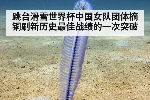 跳台滑雪世界杯中国女队团体摘铜刷新历史最佳战绩的一次突破